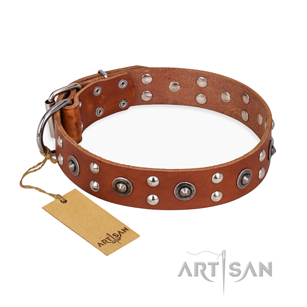 Daily use designer dog collar with rust-proof fittings
