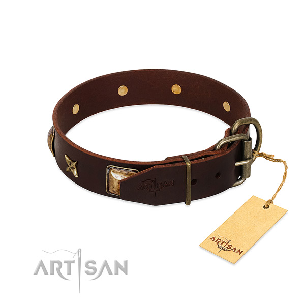 Leather dog collar with strong traditional buckle and adornments