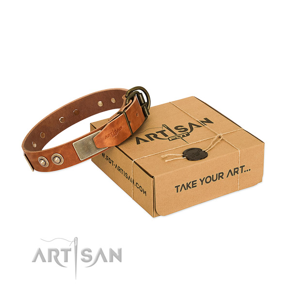 Durable traditional buckle on dog collar for comfy wearing
