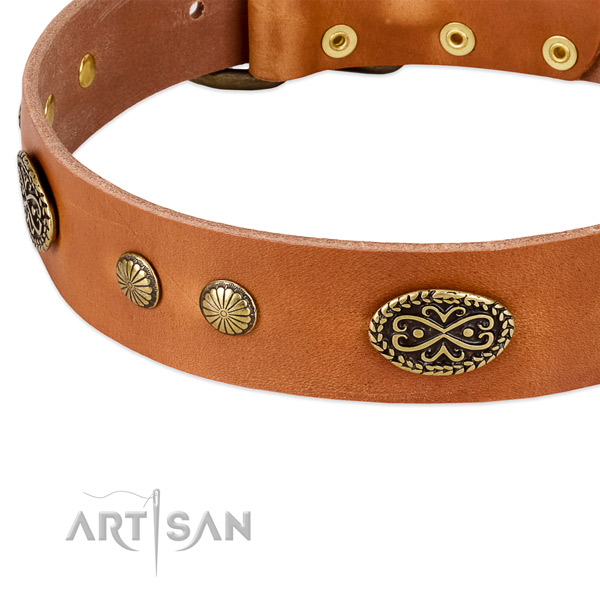 Reliable studs on full grain natural leather dog collar for your dog