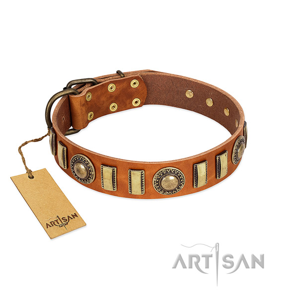 Trendy leather dog collar with reliable traditional buckle