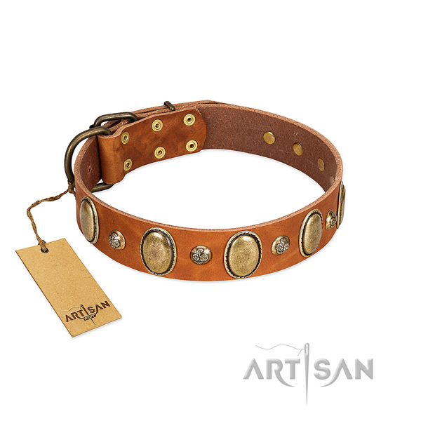 Natural leather dog collar of high quality material with remarkable embellishments
