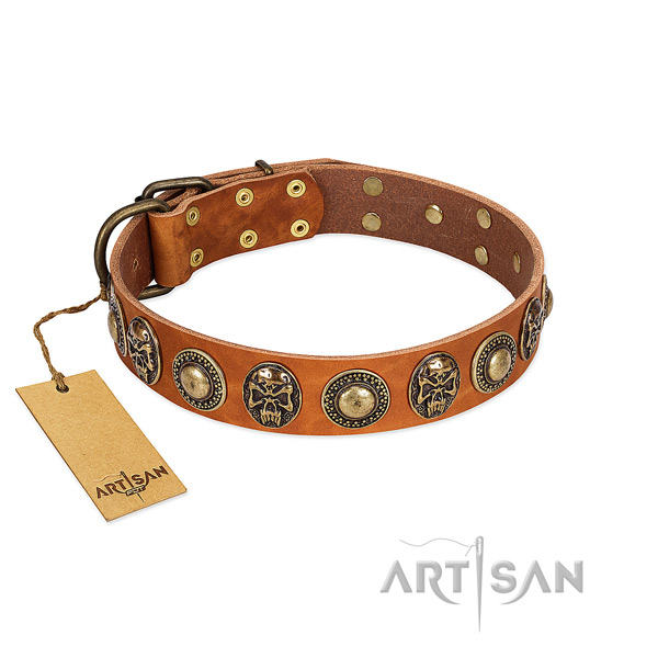Easy wearing natural leather dog collar for stylish walking your pet