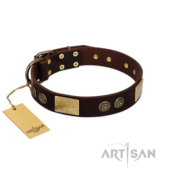 Durable traditional buckle on genuine leather dog collar for your four-legged friend