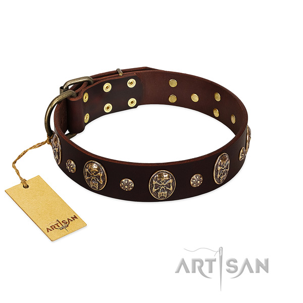 Fashionable full grain genuine leather collar for your four-legged friend