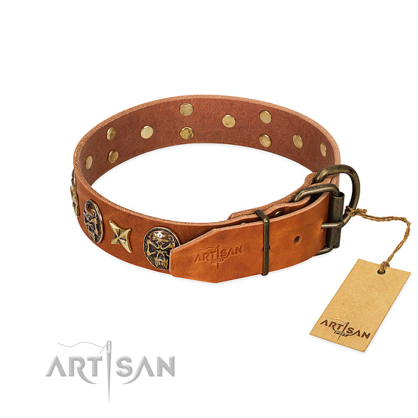 Full grain leather dog collar with rust resistant traditional buckle and embellishments