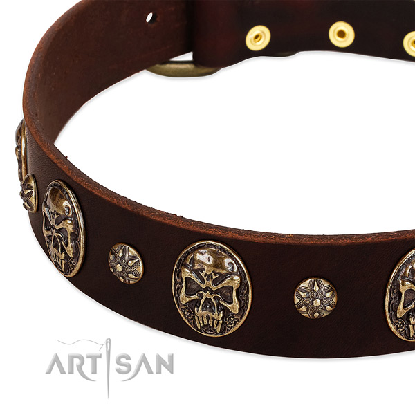 Corrosion proof embellishments on genuine leather dog collar for your dog
