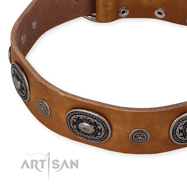 Quality genuine leather dog collar handmade for your beautiful canine