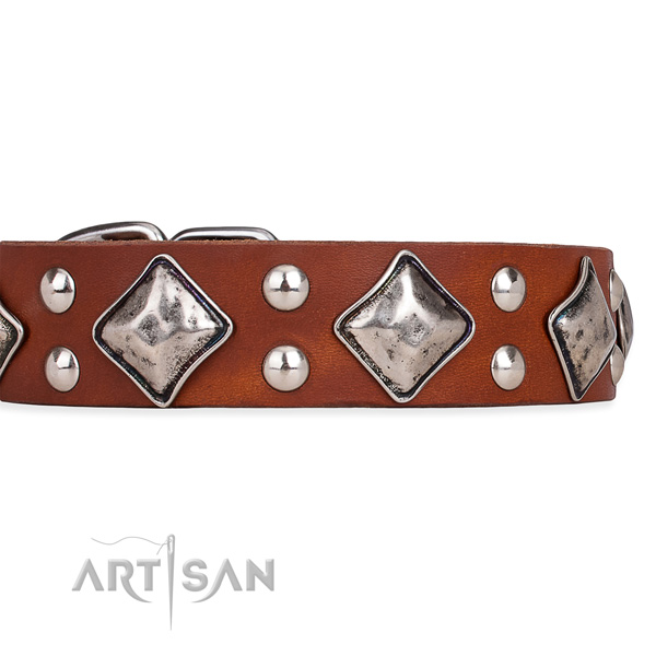 Full grain natural leather dog collar with top notch corrosion resistant decorations