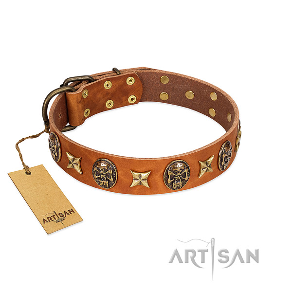 Top quality genuine leather collar for your canine