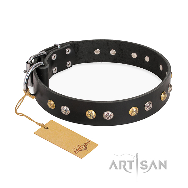 Everyday use remarkable dog collar with rust resistant traditional buckle