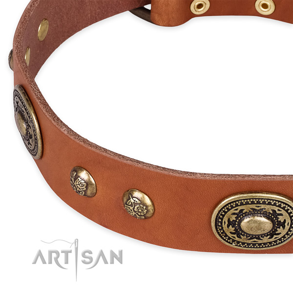 Adorned genuine leather collar for your handsome four-legged friend