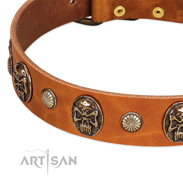 Rust resistant studs on full grain genuine leather dog collar for your pet
