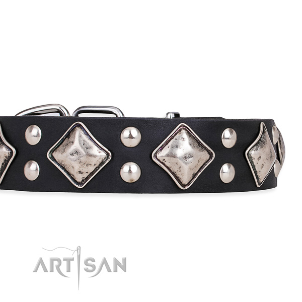 Full grain genuine leather dog collar with fashionable strong embellishments