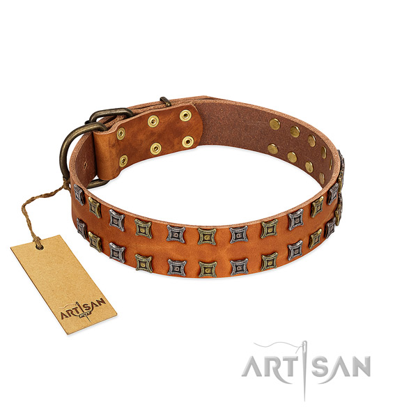 Top rate full grain leather dog collar with embellishments for your doggie
