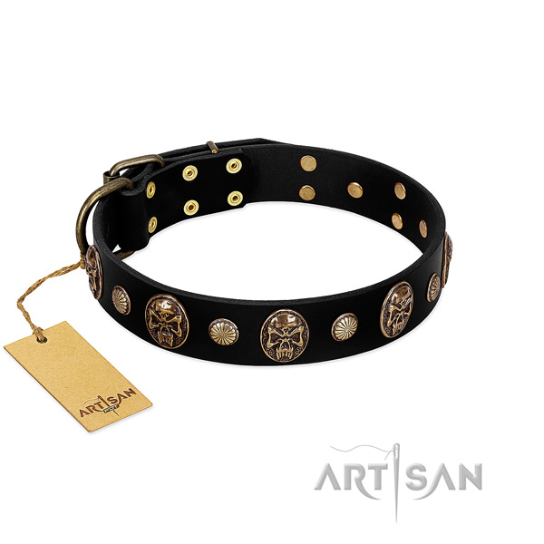 Natural leather dog collar with reliable embellishments