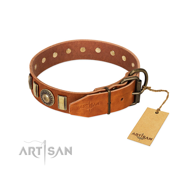 Stylish design full grain leather dog collar with corrosion resistant buckle