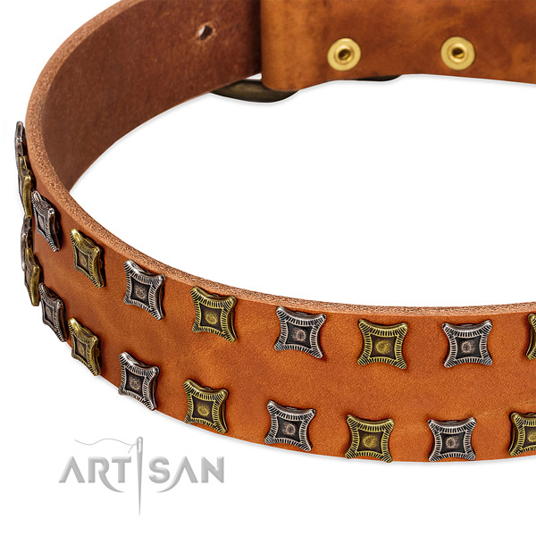 Top rate natural leather dog collar for your attractive four-legged friend