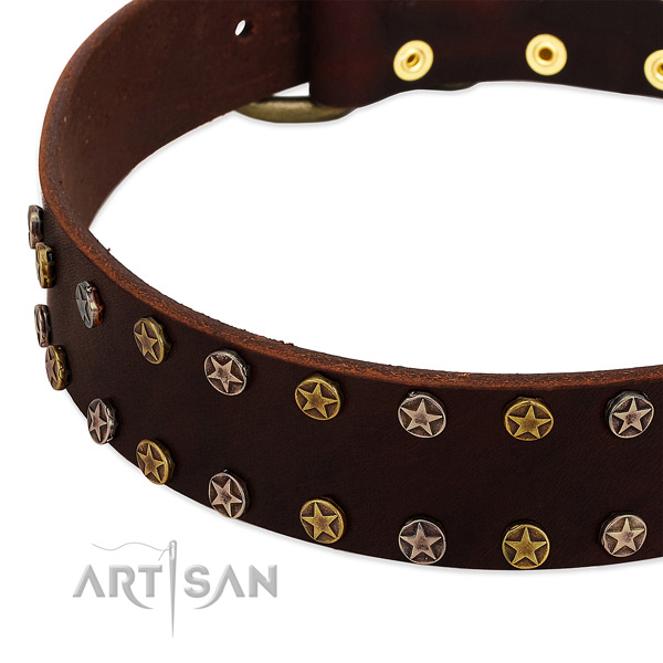 Stylish walking genuine leather dog collar with amazing embellishments
