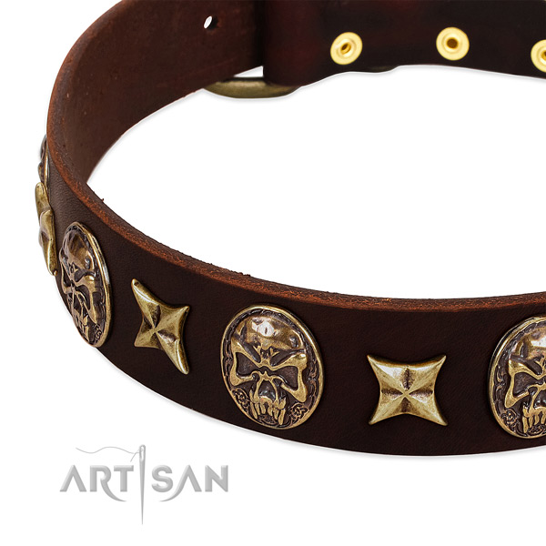 Reliable fittings on full grain leather dog collar for your pet