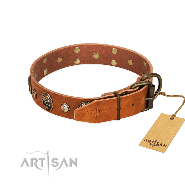 Reliable hardware on full grain leather collar for walking your dog