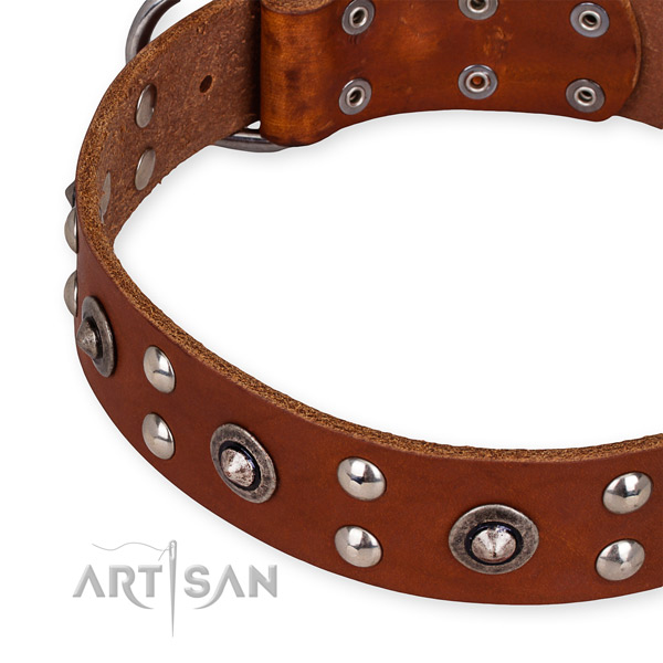 Genuine leather collar with corrosion resistant buckle for your attractive canine