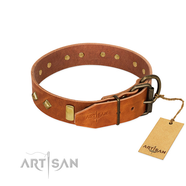 Daily use natural leather dog collar with stylish design embellishments
