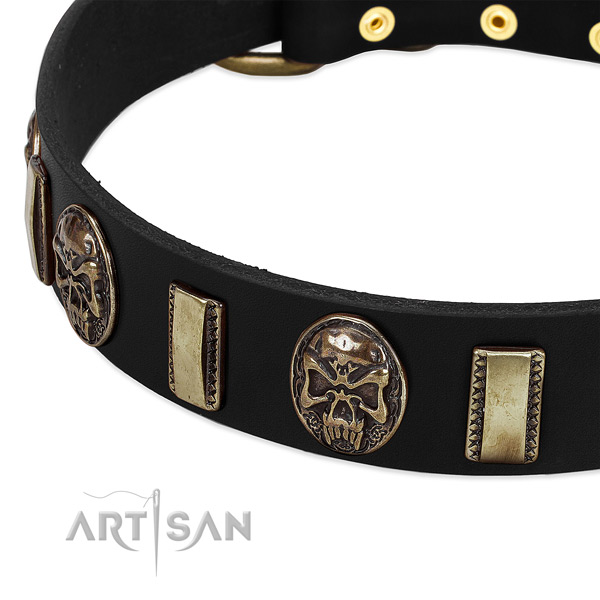 Reliable hardware on leather dog collar for your canine