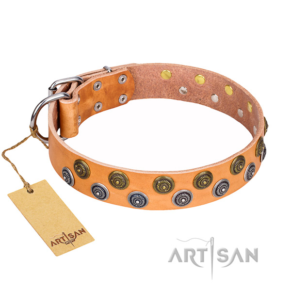 Daily use dog collar of durable leather with decorations