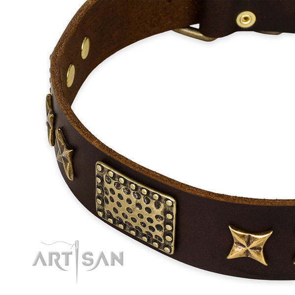 Full grain genuine leather collar with strong buckle for your attractive doggie