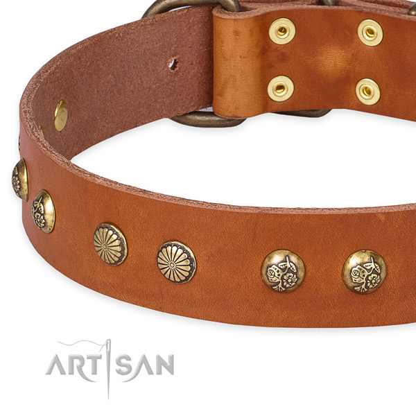 Full grain leather collar with rust-proof D-ring for your attractive doggie