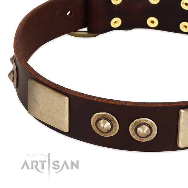 Reliable D-ring on genuine leather dog collar for your canine