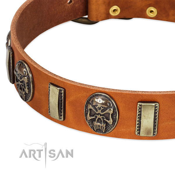 Corrosion resistant studs on genuine leather dog collar for your canine