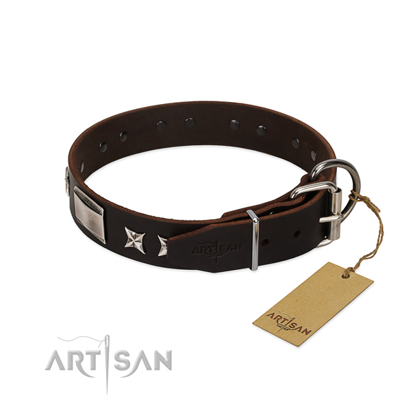 Incredible collar of natural leather for your stylish four-legged friend