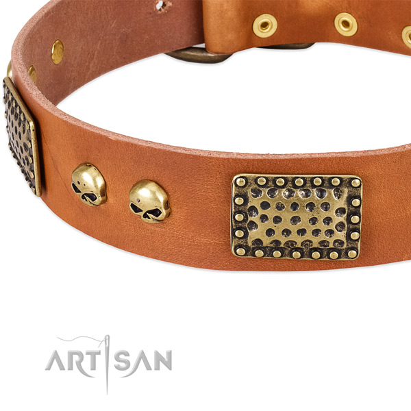 Reliable adornments on leather dog collar for your dog