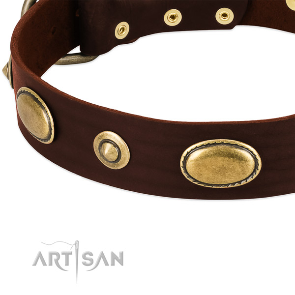 Reliable fittings on natural leather dog collar for your doggie