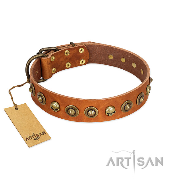 Full grain leather collar with awesome decorations for your four-legged friend