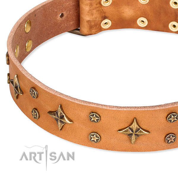 Basic training decorated dog collar of fine quality full grain natural leather