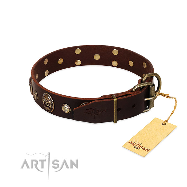 Rust resistant studs on daily walking dog collar