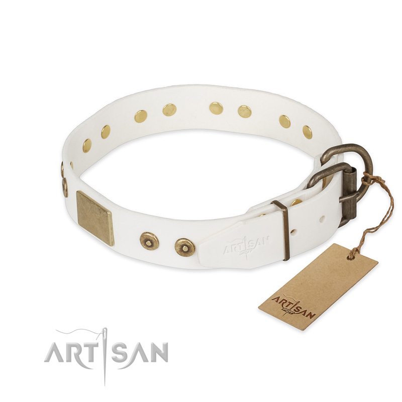 Designer Dog Collars  Only the finest Materials. Made in USA. – PetDesignZ