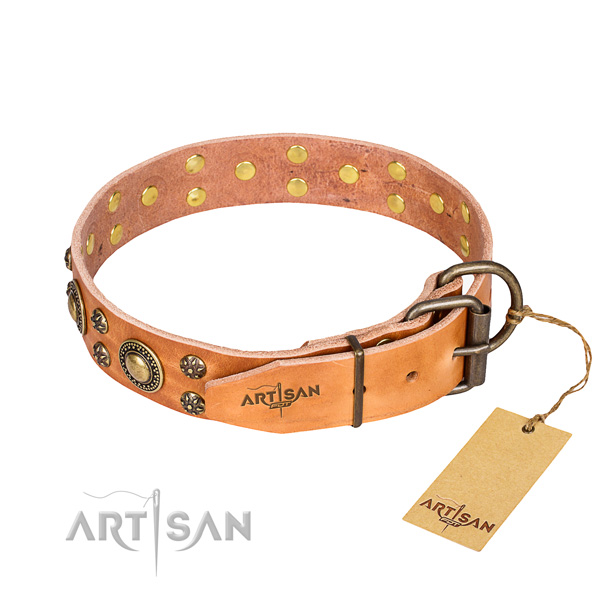 Stylish walking adorned dog collar of high quality full grain leather