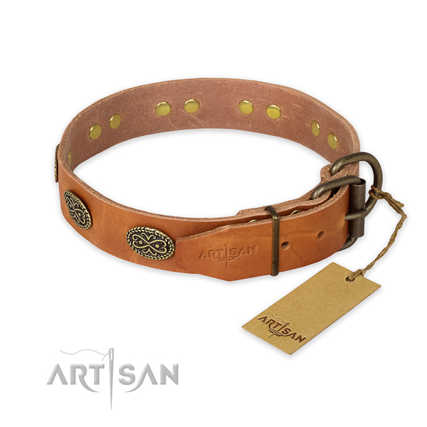 Reliable fittings on leather collar for everyday walking your dog