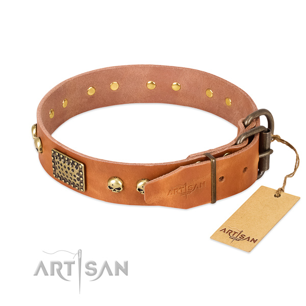 Corrosion resistant embellishments on walking dog collar