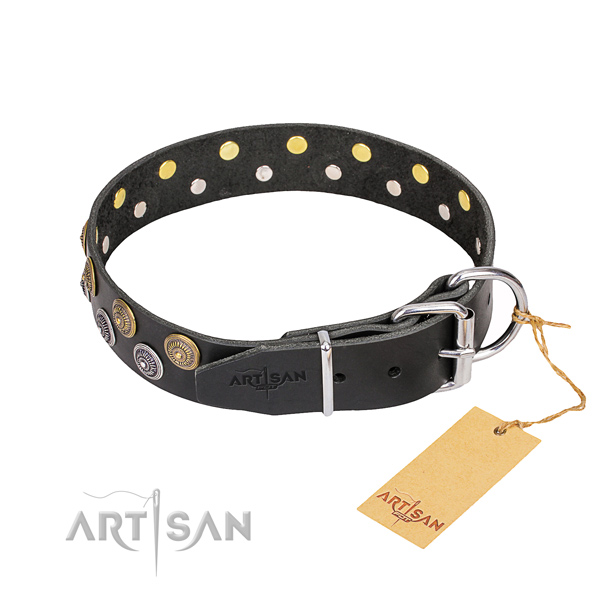 Comfy wearing studded dog collar of quality genuine leather