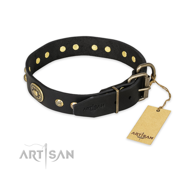 Rust resistant traditional buckle on full grain natural leather collar for daily walking your four-legged friend