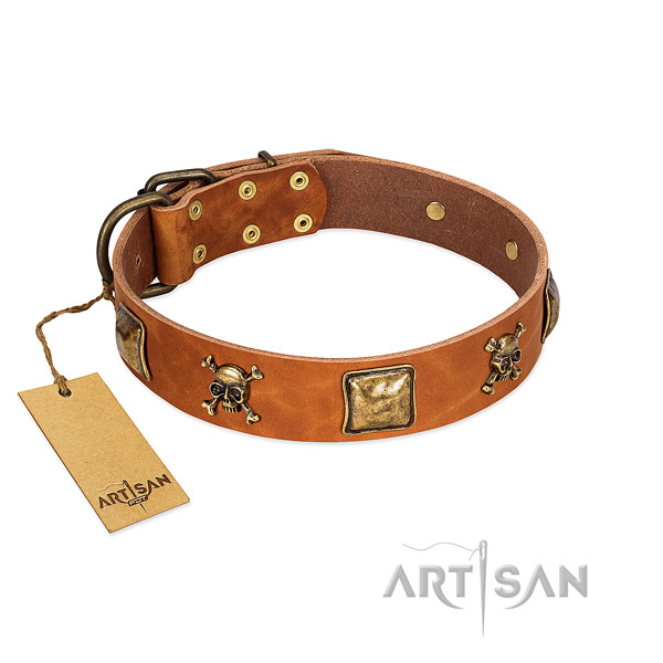 Top notch leather dog collar with rust resistant embellishments