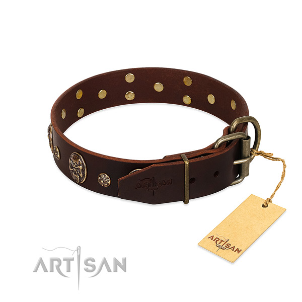 Durable D-ring on leather dog collar for your canine