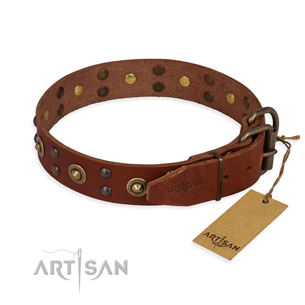 Rust resistant buckle on full grain natural leather collar for your lovely four-legged friend