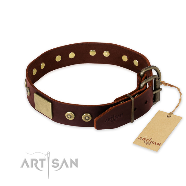 Rust resistant studs on daily walking dog collar
