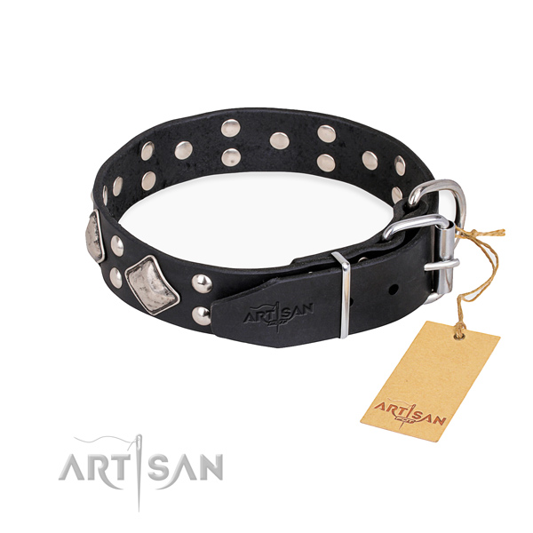 Full grain genuine leather dog collar with exceptional reliable studs